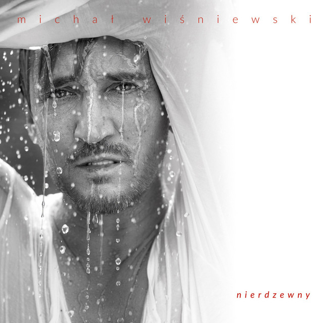 Nierdzewny cover art