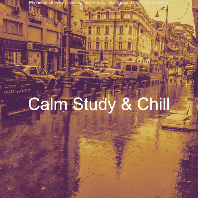 Phenomenal Easy Listening Guitar Solo - Background for Study Sessions cover art