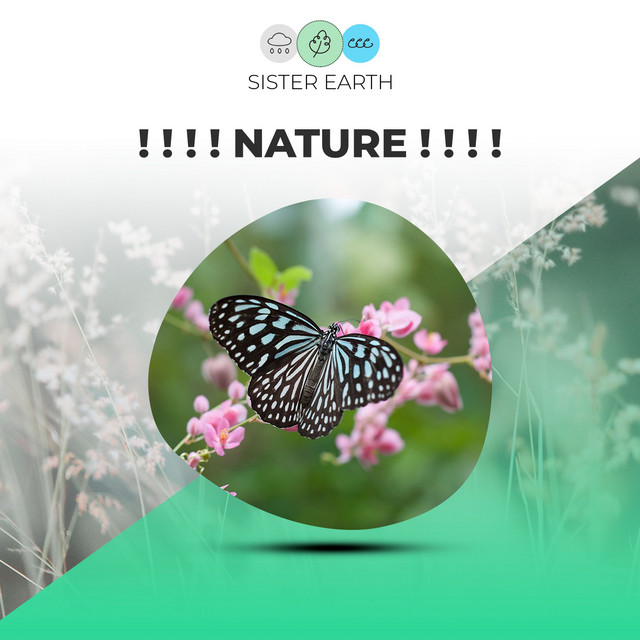 Nature ! ! ! ! - Album by Sleep Sounds of Nature | Spotify
