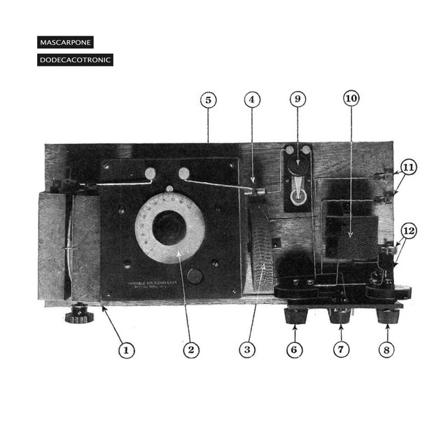 Dodecacotronic cover art