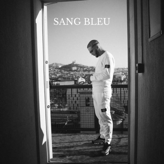 Sang bleu cover art