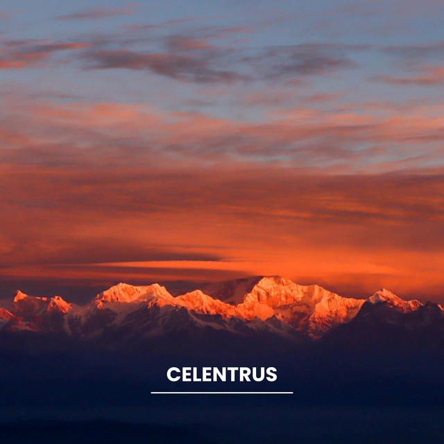 Celentrus by Horizon Mind