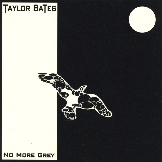No More Grey cover art