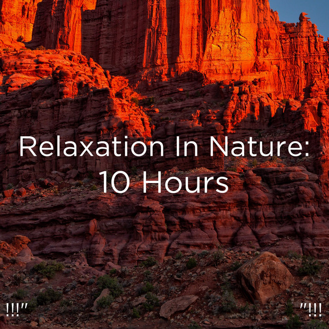!!!" Relaxation In Nature: 10 Hours "!!! cover art