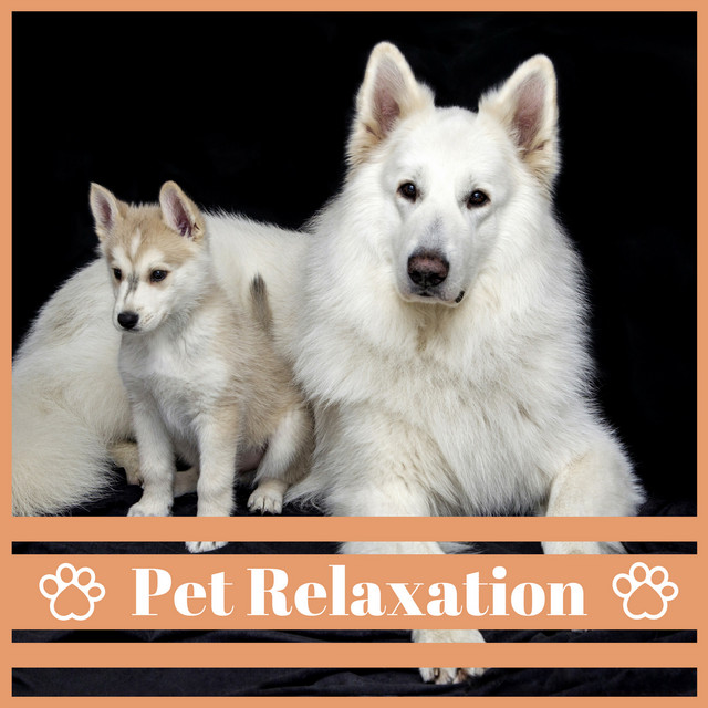 Relaxing Music For Pets