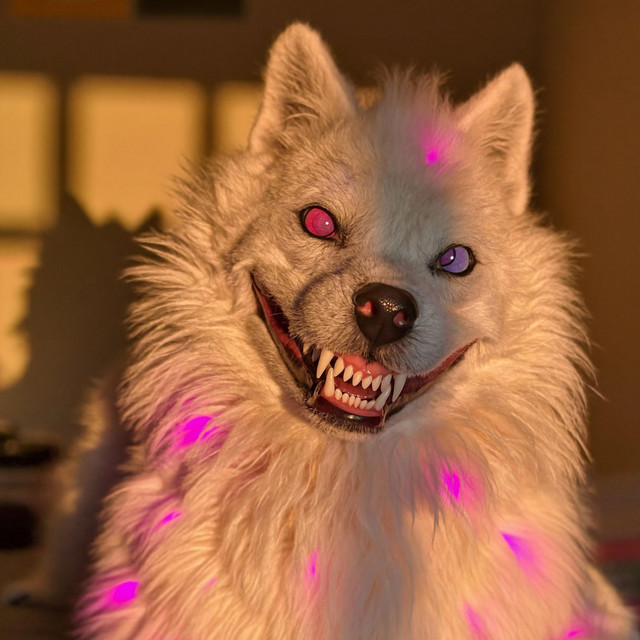 Vain Wolf (Daddy)