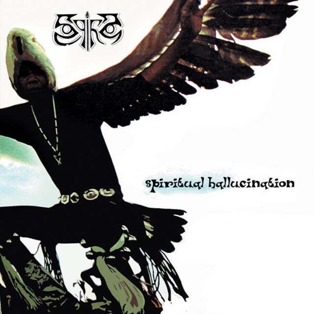 Spiritual Hallucination cover art