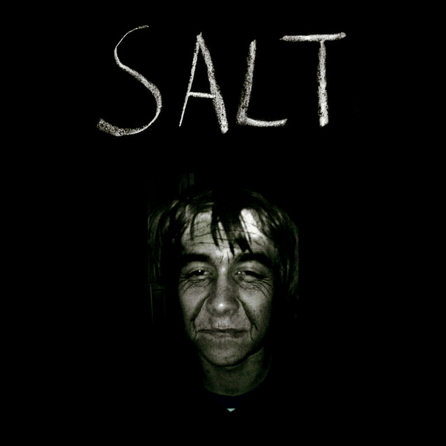 Salt cover art