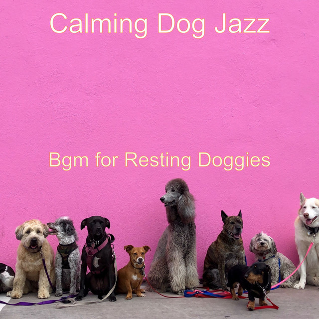 Bgm for Resting Doggies cover art