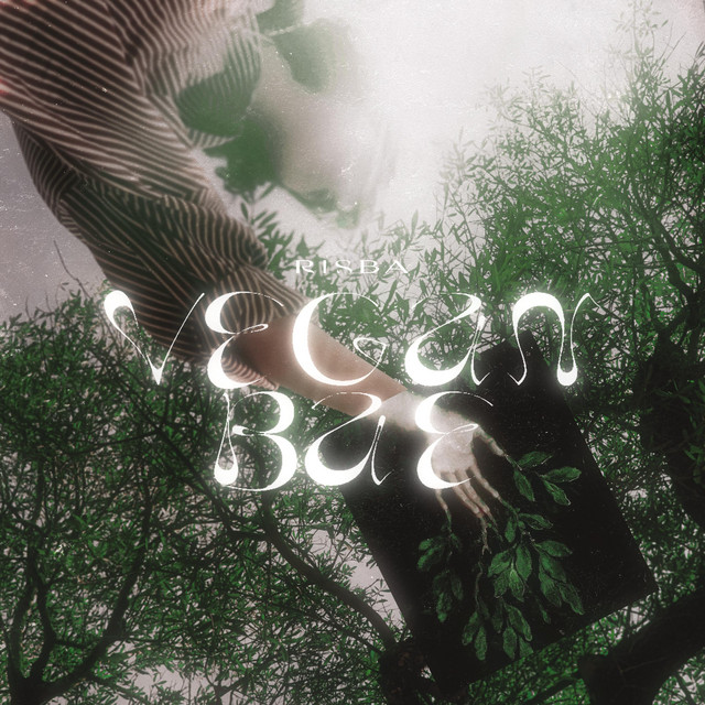 Vegan bae cover art