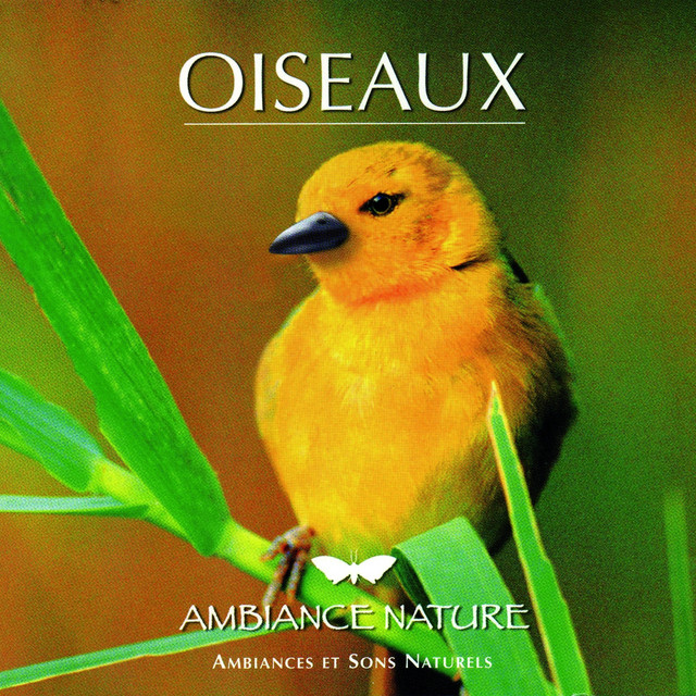 Ambiance Nature Oiseaux cover art