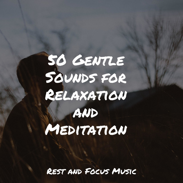 50 Gentle Sounds for Relaxation and Meditation - Album by Baby Sleep ...