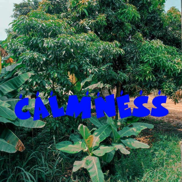 CALMNESS cover art