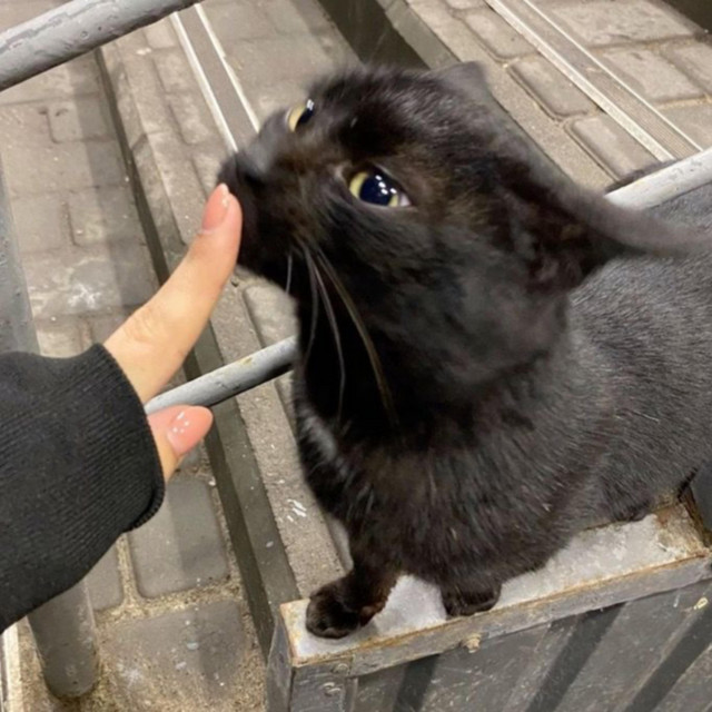 why dont you show me attention?