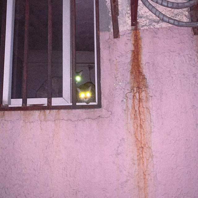 secrets cover art
