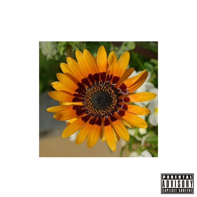 In cover art