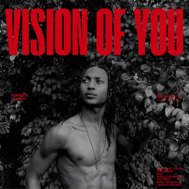 Vision of You album image