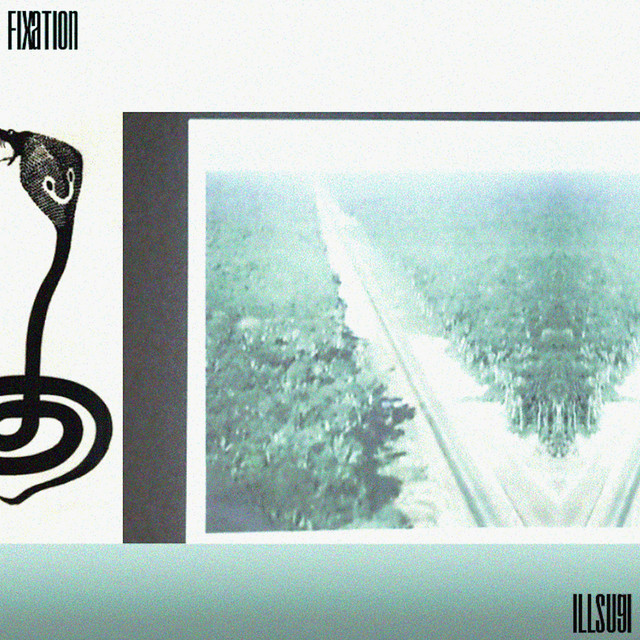 fixation cover art