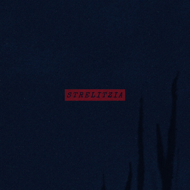 Обкладинка Vladyslav Romanchenko — STRELITZIA