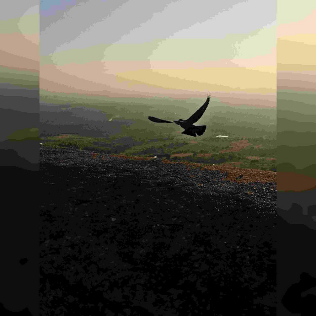parinda