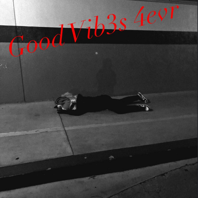 Good Vib3s 4evr cover art