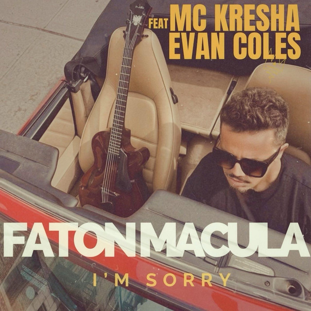 I'm Sorry cover