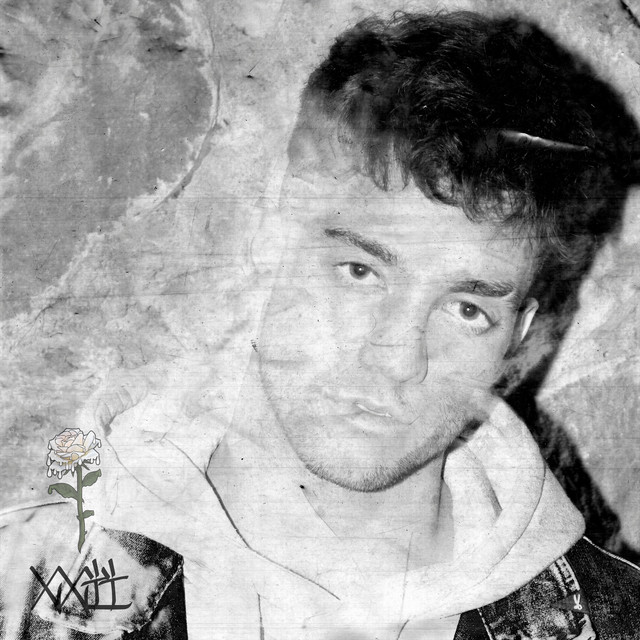 XXII cover art