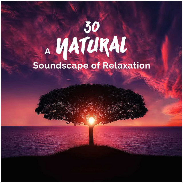 30A Natural Soundscape of Relaxation - Album by Sounds Of Nature | Spotify