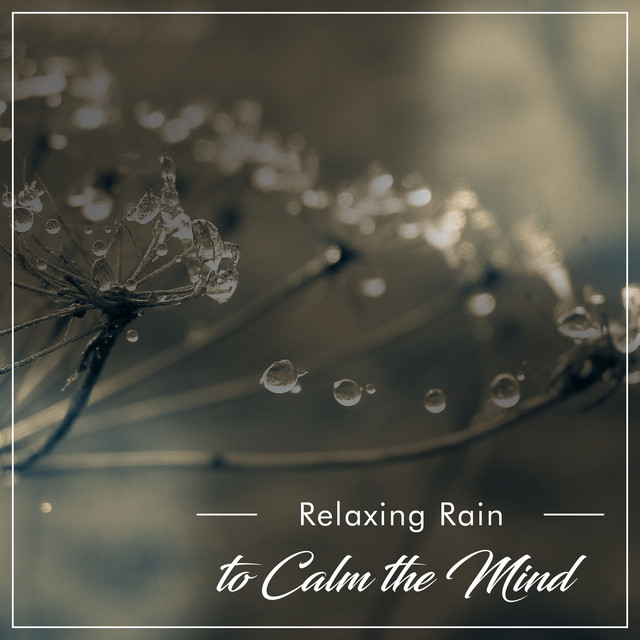 13 Popular Rain Tracks to Unwind & Relax cover art