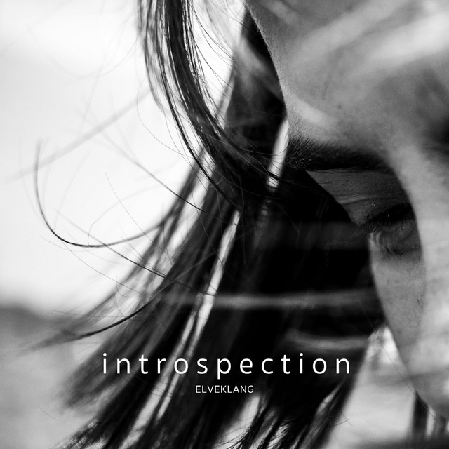 Introspection