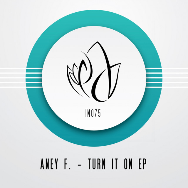 Turn It On album art