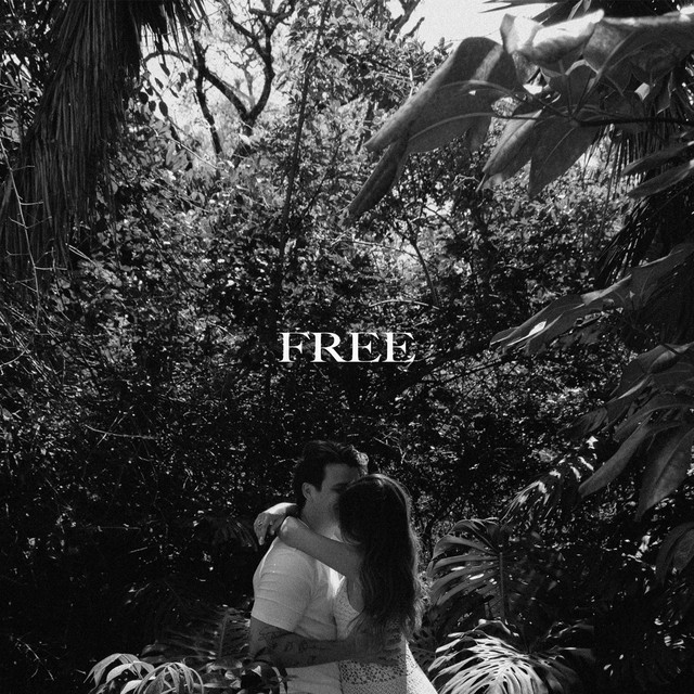 FREE cover