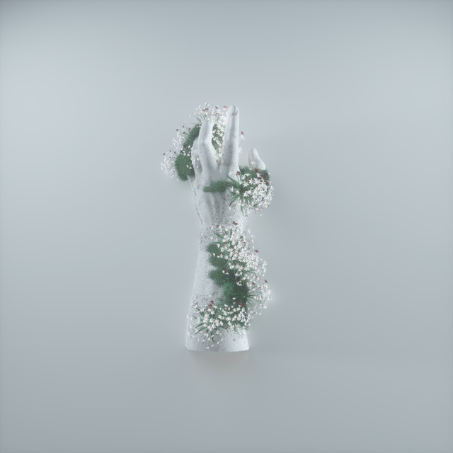 Armour / Amor cover art