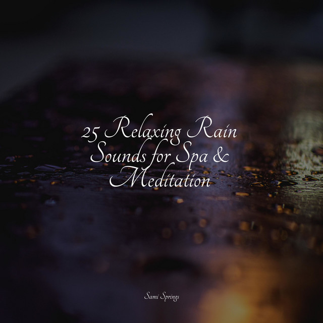 25 Relaxing Rain Sounds for Spa & Meditation - Album by Rain Sound Plus ...