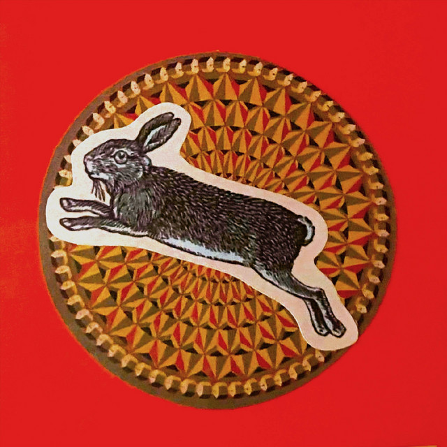 Rabbit - song and lyrics by Cork | Spotify
