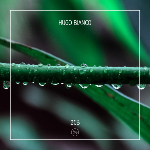 2Cb cover