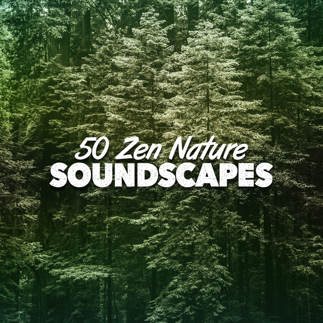 50 Zen Nature Soundscapes - Album by Nature Sounds | Spotify