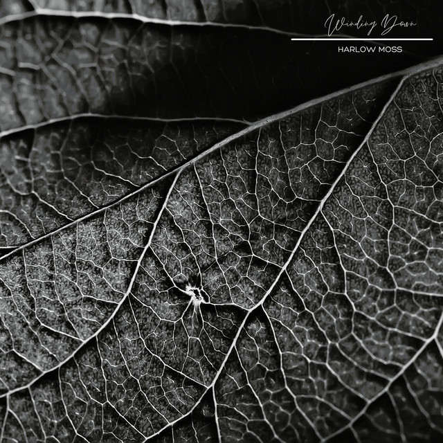 Winding Down by Harlow Moss