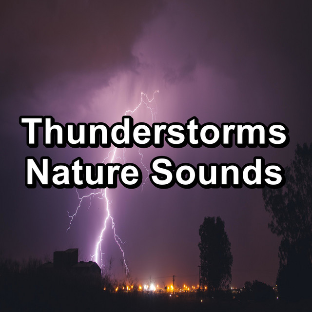 Cold and Rainy Day with Thunder - song and lyrics by Thunderstorm Sound ...