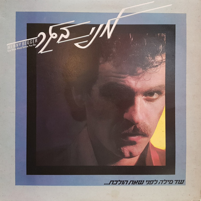 עוד מילה לפני שאת הולכת cover art