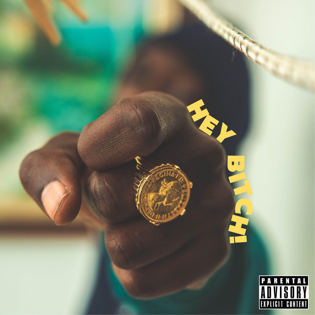 Hey Bitch cover art