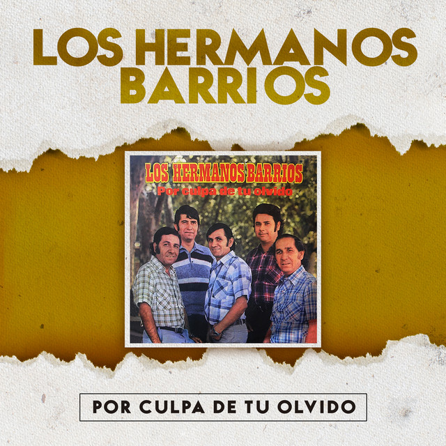 Por Culpa de Tu Olvido