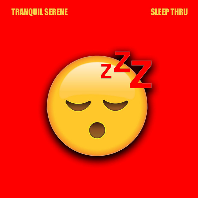 Sleep Thru cover art