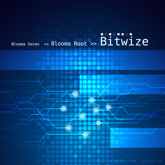 Bitwize cover
