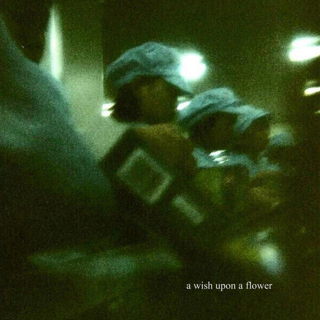 a wish upon a flower cover art
