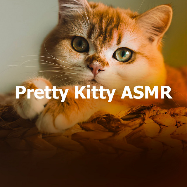 Pretty Kitty ASMR cover art