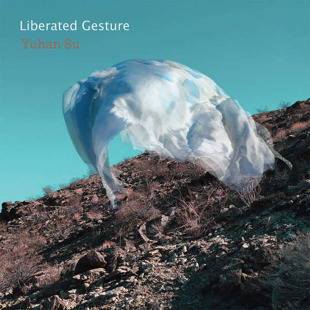 Liberated Gesture cover art