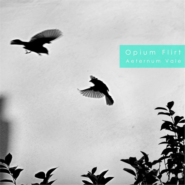 Aeternum Vale cover art