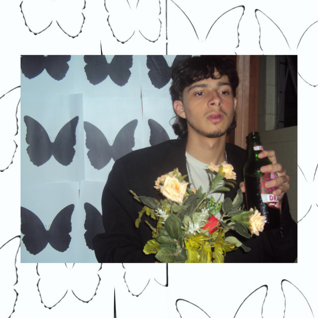 BUTTERFLY DEFECT cover art