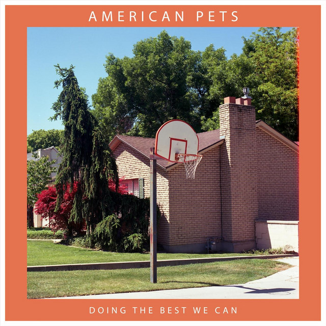 Doing the Best We Can cover art